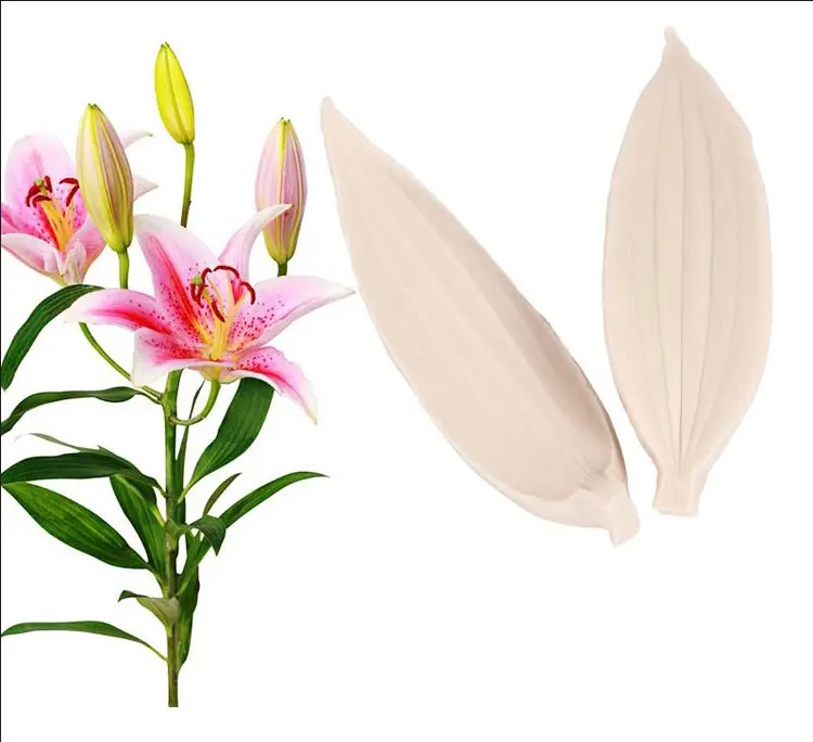 Lily Flower Leaf veiner mould style 4