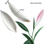 Lily Flower Leaf veiner mould style 4