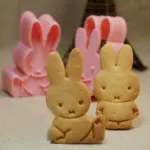 2 pcs Miffy Rabbit Plunger Cutter set