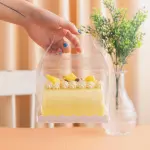 1 Pcs Transparent cake Box with Tray (13 x 8 X 8 cm )