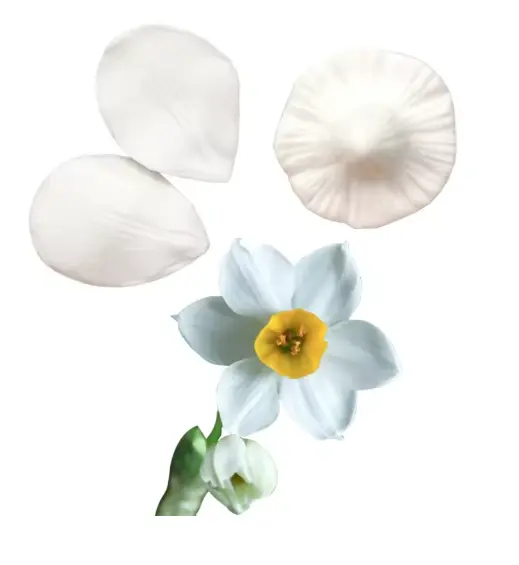 Daffodil Flower Petal Veiner Silicone Mould
