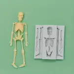 Skull Skeleton Fondant Silicone Mould for Halloween Cake Decoration & Chocolate Making