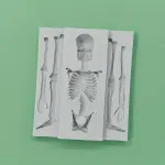 Skull Skeleton Fondant Silicone Mould for Halloween Cake Decoration & Chocolate Making