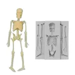 Skull Skeleton Fondant Silicone Mould for Halloween Cake Decoration & Chocolate Making