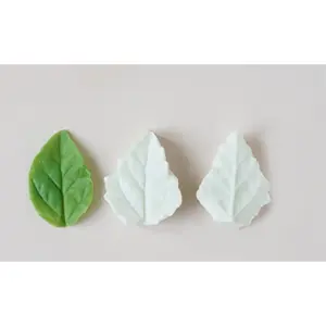 Hibiscus Peony Leaf veiner