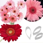 3 pcs Sunflower petal Flower cutter set