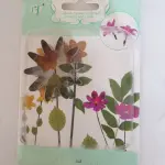 Petal Flower Cutter & Plunger Set