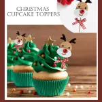 3 pcs Christmas Reindeer theme cake topper