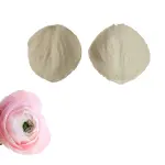 Rose Flower Flower Petal Veiner style 4