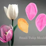 Tulip Flower Petal veiner Small size
