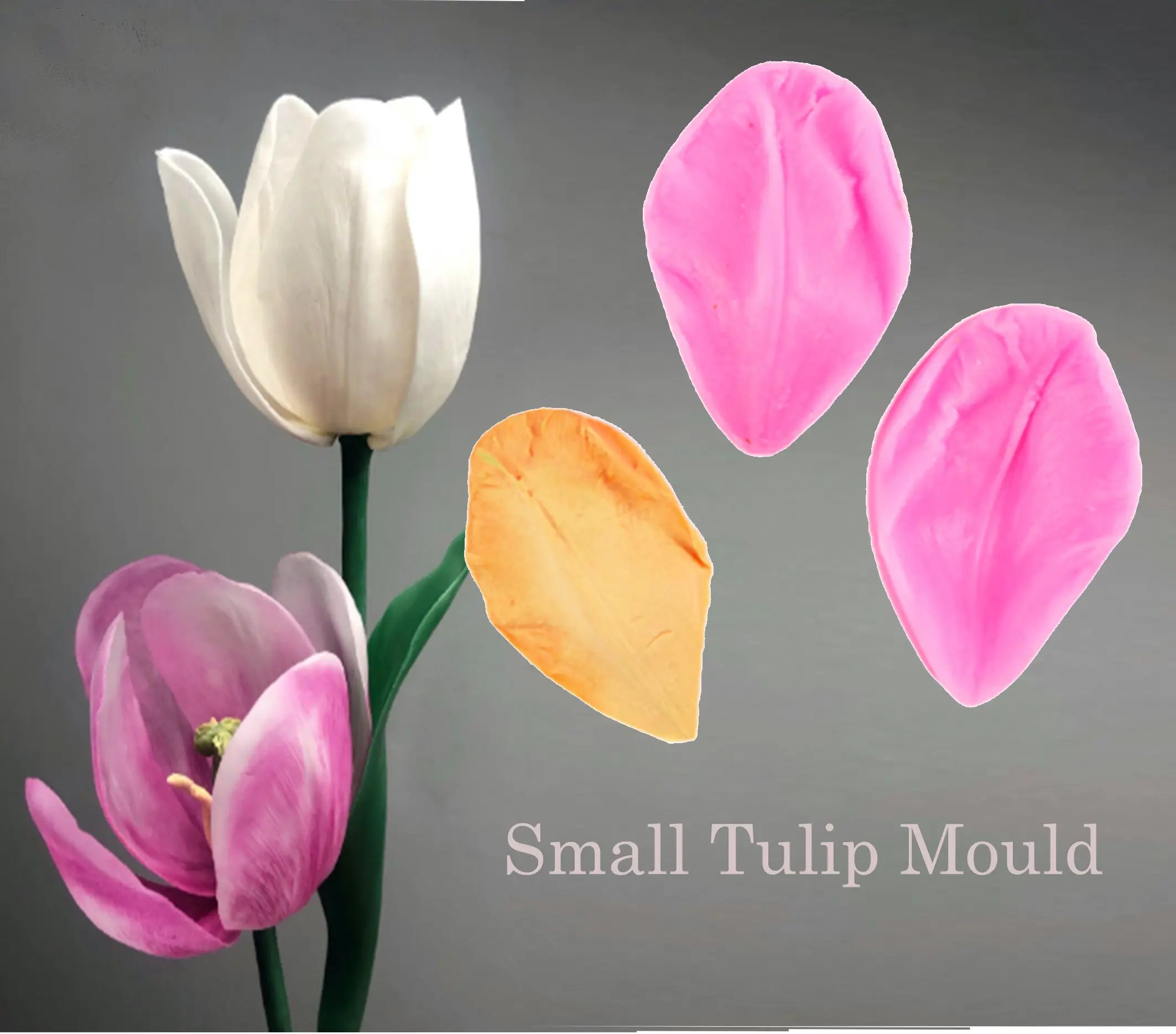 Tulip Flower Petal veiner Small size
