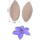 Clematis Petal Flower Veiner