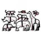 Animal Silhouette Fondant And Cookie Cutter Set