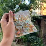 20 pcs Bow ties for Packing