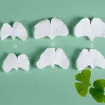 Ginkgo leaf double-sided textured veiner mould