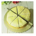 10 Inch Stainless Steel Cake Knife Bread Knife