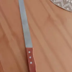 10 Inch Stainless Steel Cake Knife Bread Knife