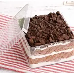 Transparent Acrylic Dessert Square Tub With Lid (Pack of 5) | Clear Tiramisu Cups for Layered Desserts, Mousse & Cake Packaging Cake Decor (small)