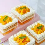 Transparent Acrylic Dessert Square Tub With Lid (Pack of 5) | Clear Tiramisu Cups for Layered Desserts, Mousse & Cake Packaging Cake Decor (small)