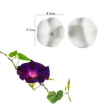 Morning Glory Flower petal veiner Mould