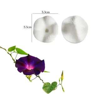 Morning Glory Flower petal veiner Mould