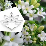 3 Pcs Tuberose Petal Cutter Set for Fondant & Gumpaste Flower Making