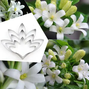 3 Pcs Tuberose Petal Cutter Set for Fondant & Gumpaste Flower Making
