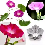 3 Pcs Lotus Leaf Cutter Set for Fondant & Gumpaste Flower Making