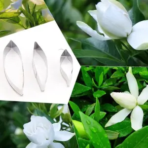 3 Pcs Gardenia Leaf Cutter Set for Fondant & Gumpaste Flower Making