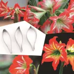 3 Pcs Amaryllis Petal Cutter Set for Fondant & Gumpaste Flower Making