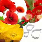3 Pcs Poppy Petal Cutter Set for Fondant & Gumpaste Flower Making