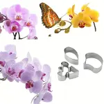 3 Pcs Butterfly Orchid Flower Cutter Set for Fondant & Gumpaste Flower Making