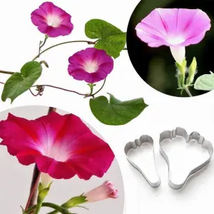2 Pcs Surfinia Petunia Petal Cutter Set for Fondant & Gumpaste Flower Making