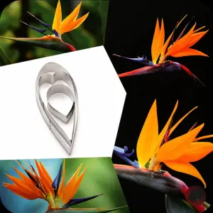 3 Pcs Strelitzia Reginae Petal Cutter Set for Fondant & Gumpaste Flower Making