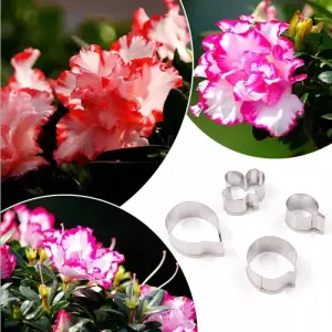 3 Pcs Belgium Azalea Petal Cutter Set for Fondant & Gumpaste Flower Making