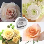 10 Pcs Rose Petal Cutter Set for Fondant & Gumpaste Flower Making