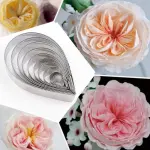 10 Pcs Austin Rose Petal Cutter Set for Fondant & Gumpaste Flower Making