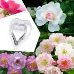 3 Pcs Rosa Multiflora Petal Cutter Set for Fondant & Gumpaste Flower Making