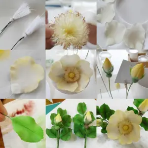 3 Pcs Rosa Multiflora Petal Cutter Set for Fondant & Gumpaste Flower Making