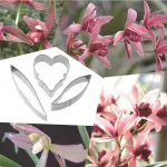 3 Pcs Orchid Flower Cutter Set for Fondant & Gumpaste Flower Making