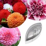 6 Pcs Dahlia Flower Petal Cutter Set for Fondant & Gumpaste