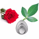 4 Pcs Rose Leaf Cutter Set for Fondant & Gumpaste Flowers
