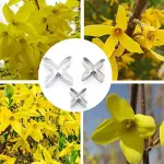 3 Pcs Forsythia Viridissima Flower Petal Cutter Set for Fondant & Gumpaste
