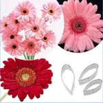 3 Pcs Gerbera Flower Petal Cutter Set for Fondant & Gumpaste