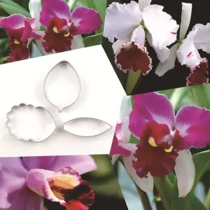 3 Pcs Cattleya Cymbidium orchid Petal Flower Cutter Set (A345)