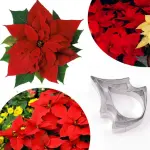 3 Pcs Poinsettia Flower Petal Cutter Set for Fondant & Gumpaste