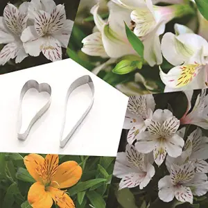2 Pcs Alstroemeria Flower Petal Cutter Set for Fondant & Gumpaste