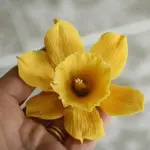 4 Pcs Daffodil Janquil Flower Petal Cutter Set for Fondant & Gumpaste