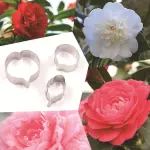 3 Pcs Camellia Flower Petal Cutter Set for Fondant & Gumpaste