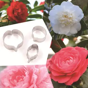 3 Pcs Camellia Flower Petal Cutter Set for Fondant & Gumpaste